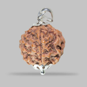 5 Mukhi Rudraksha