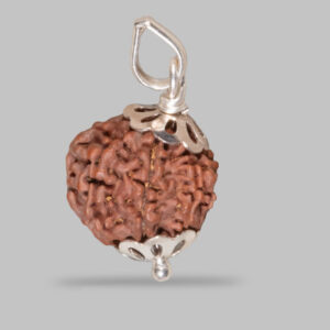 8 Mukhi Rudraksha