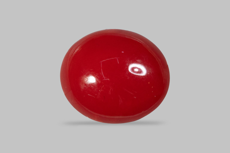 Red Coral (Moonga)