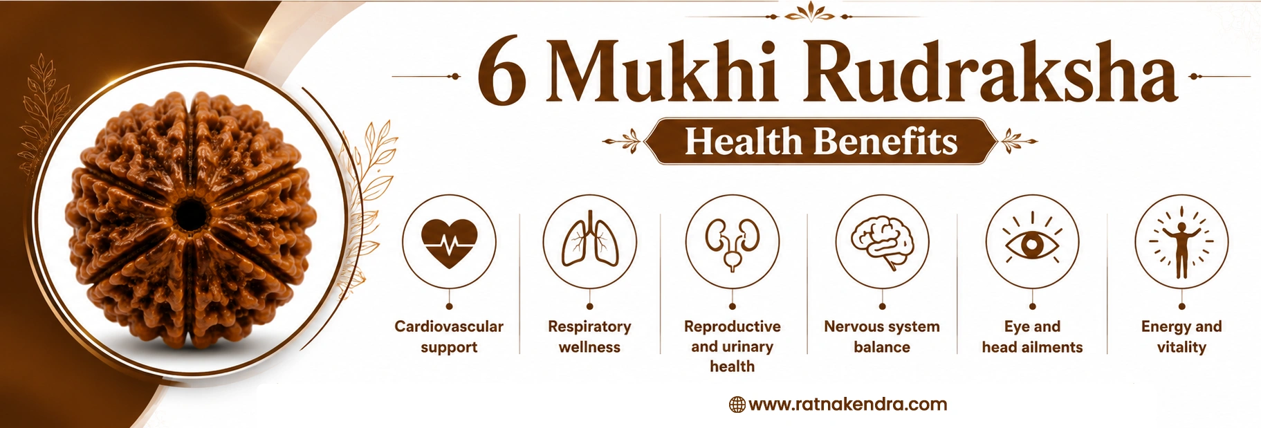 Health & Physical Benefits of 6 Mukhi Rudraksha