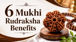 6 Mukhi Rudraksha Benefits: Everything You Need to Know Before You Wear One