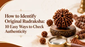 How to Identify Original Rudraksha: 10 Easy Ways to Check Authenticity